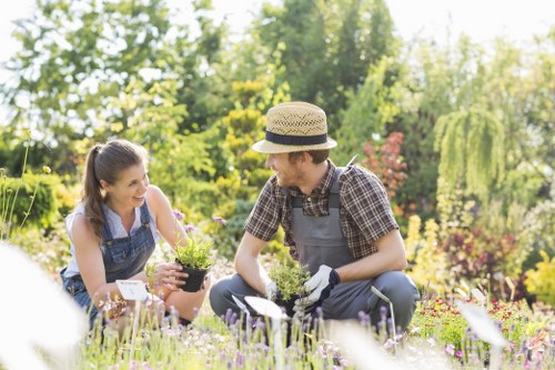 Community engaged in a Tooting garden maintained by Gardener Tooting